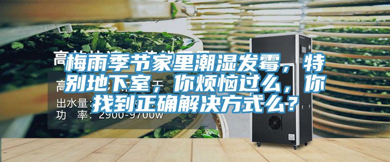 梅雨季節(jié)家里潮濕發(fā)霉，特別地下室，你煩惱過么，你找到正確解決方式么？