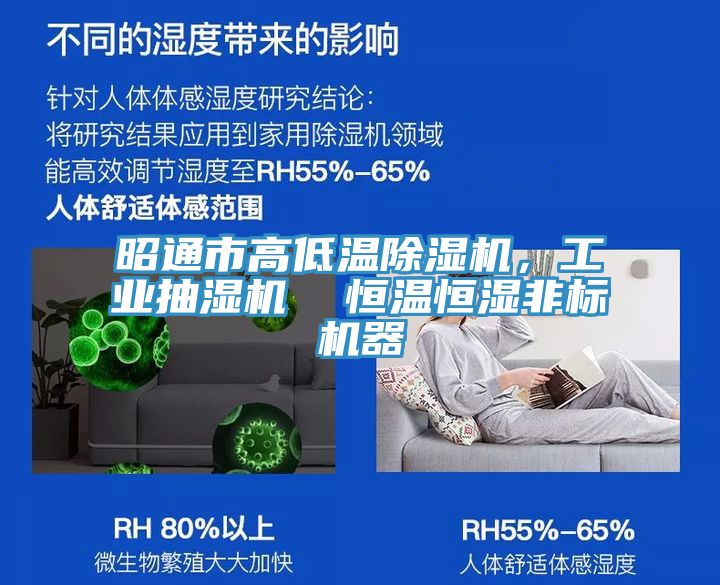 昭通市高低溫除濕機，工業(yè)抽濕機  恒溫恒濕非標機器