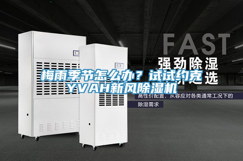 梅雨季節(jié)怎么辦？試試約克YVAH新風除濕機