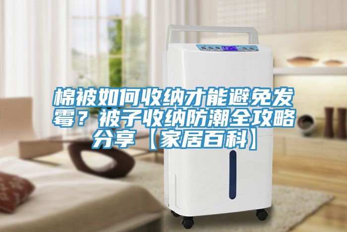 棉被如何收納才能避免發(fā)霉？被子收納防潮全攻略分享【家居百科】