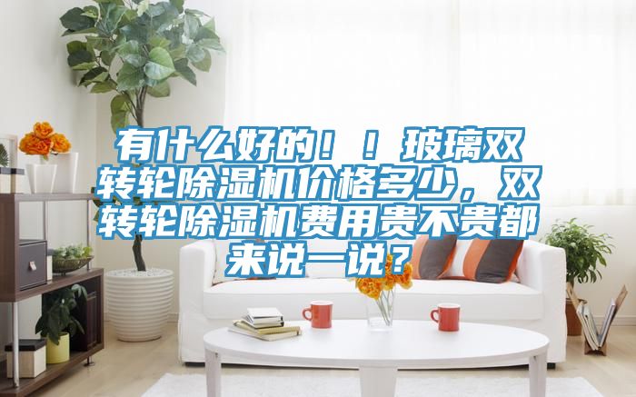 有什么好的?。〔Ａщp轉(zhuǎn)輪除濕機價格多少，雙轉(zhuǎn)輪除濕機費用貴不貴都來說一說？
