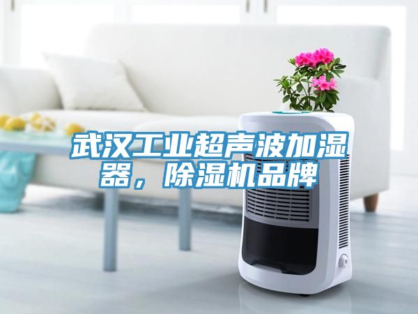 武漢工業(yè)超聲波加濕器，除濕機(jī)品牌