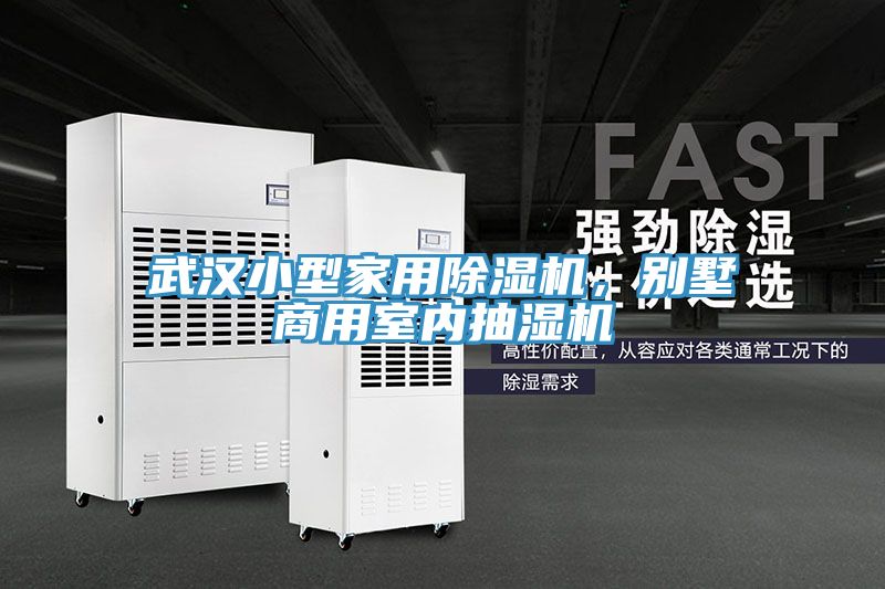 武漢小型家用除濕機(jī)，別墅商用室內(nèi)抽濕機(jī)