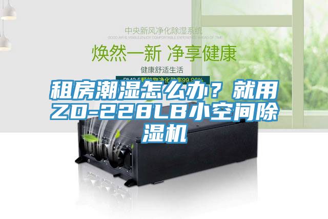租房潮濕怎么辦？就用ZD-228LB小空間除濕機(jī)