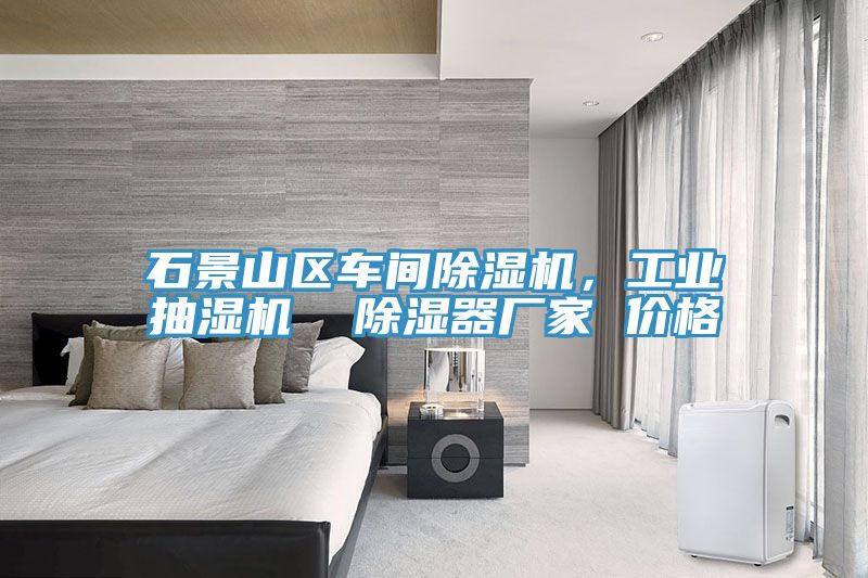 石景山區(qū)車間除濕機(jī)，工業(yè)抽濕機(jī)  除濕器廠家 價格
