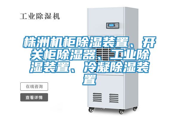 株洲機柜除濕裝置、開關柜除濕器、工業(yè)除濕裝置、冷凝除濕裝置