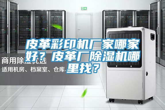 皮革彩印機廠家哪家好？皮革廠除濕機哪里找？