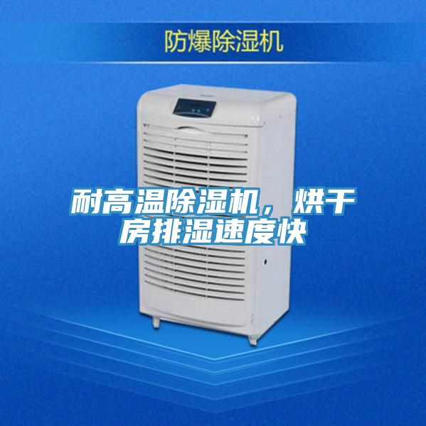 耐高溫除濕機(jī)，烘干房排濕速度快