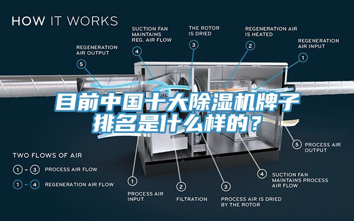 目前中國十大除濕機牌子排名是什么樣的？