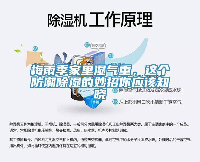 梅雨季家里濕氣重，這個(gè)防潮除濕的妙招你應(yīng)該知曉