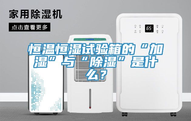 恒溫恒濕試驗(yàn)箱的“加濕”與“除濕”是什么？