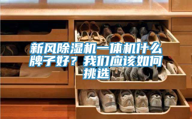 新風除濕機一體機什么牌子好？我們應(yīng)該如何挑選