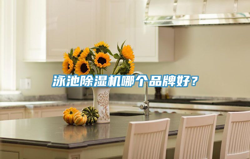 泳池除濕機(jī)哪個(gè)品牌好？