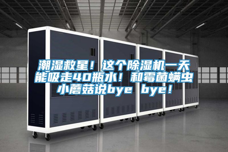 潮濕救星！這個除濕機一天能吸走40瓶水！和霉菌螨蟲小蘑菇說bye bye！