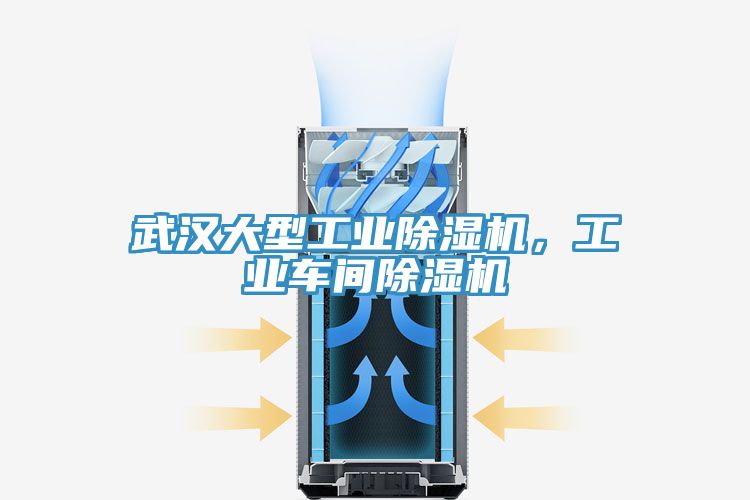 武漢大型工業(yè)除濕機(jī)，工業(yè)車間除濕機(jī)