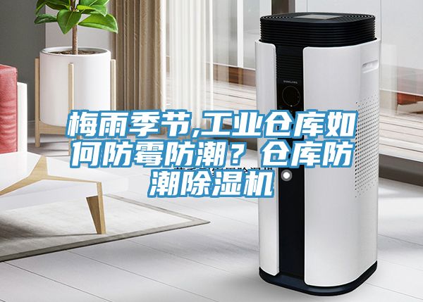 梅雨季節(jié),工業(yè)倉庫如何防霉防潮？倉庫防潮除濕機
