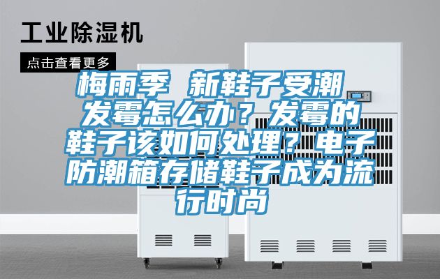 梅雨季 新鞋子受潮 發(fā)霉怎么辦？發(fā)霉的鞋子該如何處理？電子防潮箱存儲鞋子成為流行時(shí)尚