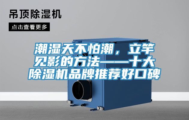 潮濕天不怕潮，立竿見影的方法——十大除濕機(jī)品牌推薦好口碑