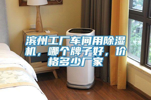濱州工廠車間用除濕機(jī)，哪個(gè)牌子好，價(jià)格多少廠家