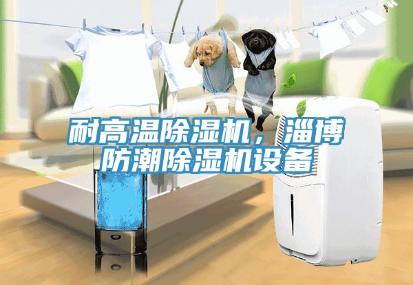 耐高溫除濕機(jī)，淄博防潮除濕機(jī)設(shè)備