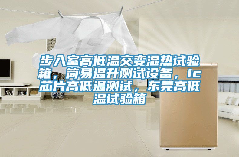 步入室高低溫交變濕熱試驗(yàn)箱，簡易溫升測試設(shè)備，ic芯片高低溫測試，東莞高低溫試驗(yàn)箱