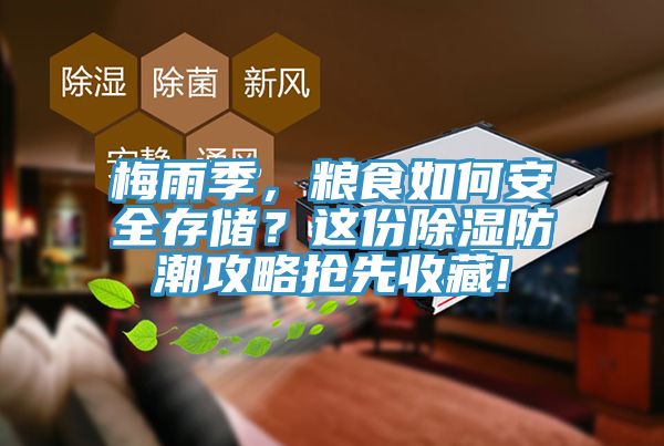梅雨季，糧食如何安全存儲？這份除濕防潮攻略搶先收藏!