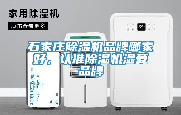 石家莊除濕機(jī)品牌哪家好，認(rèn)準(zhǔn)除濕機(jī)濕菱品牌