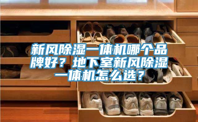 新風(fēng)除濕一體機(jī)哪個(gè)品牌好？地下室新風(fēng)除濕一體機(jī)怎么選？