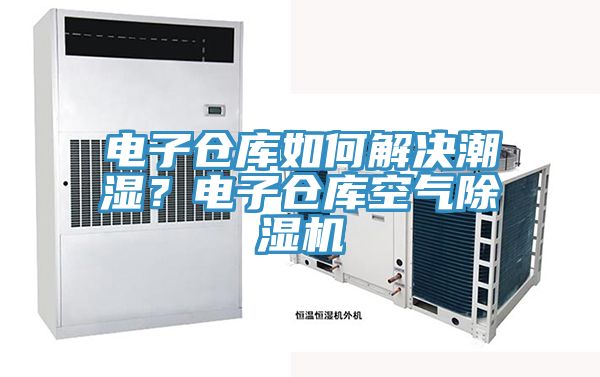 電子倉庫如何解決潮濕？電子倉庫空氣除濕機(jī)