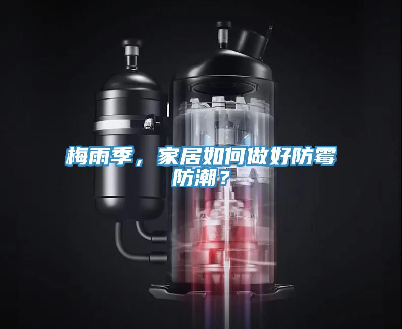 梅雨季，家居如何做好防霉防潮？