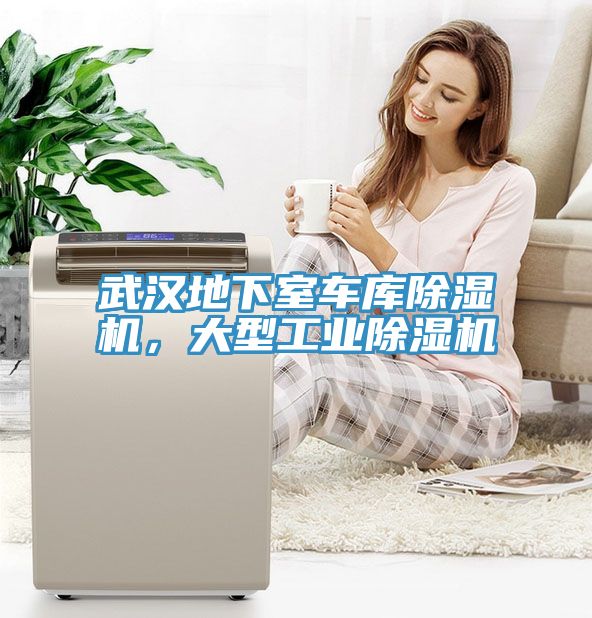 武漢地下室車庫除濕機(jī)，大型工業(yè)除濕機(jī)