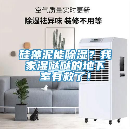 硅藻泥能除濕？我家濕噠噠的地下室有救了！