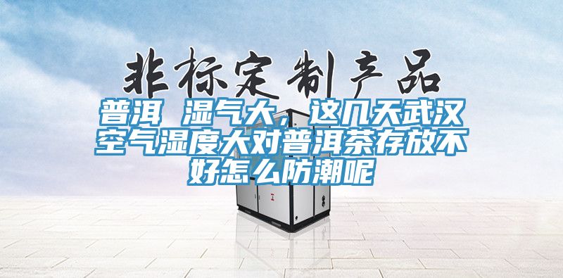 普洱 濕氣大，這幾天武漢空氣濕度大對普洱茶存放不好怎么防潮呢