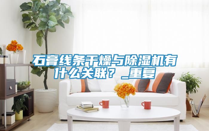 石膏線條干燥與除濕機(jī)有什么關(guān)聯(lián)？_重復(fù)
