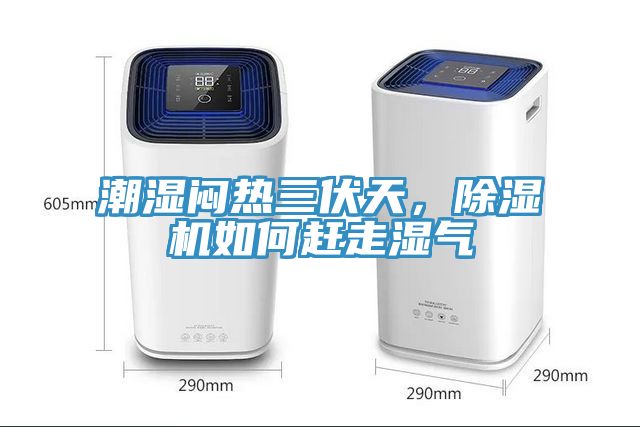 潮濕悶熱三伏天，除濕機如何趕走濕氣