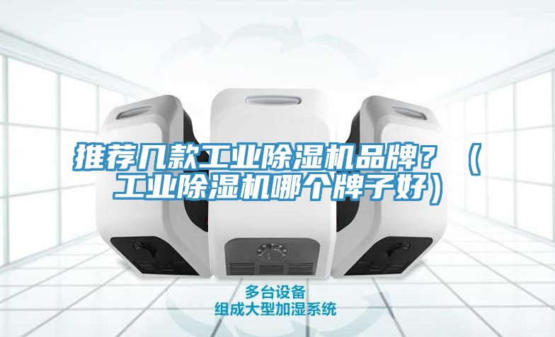 推薦幾款工業(yè)除濕機品牌？（工業(yè)除濕機哪個牌子好）