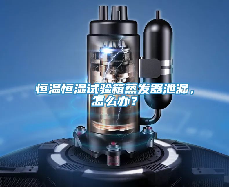 恒溫恒濕試驗(yàn)箱蒸發(fā)器泄漏，怎么辦？