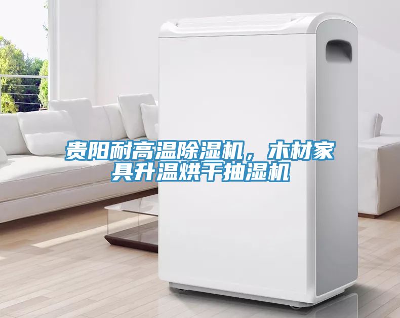貴陽耐高溫除濕機(jī)，木材家具升溫烘干抽濕機(jī)