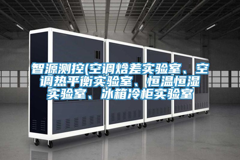 智源測控(空調(diào)焓差實驗室、空調(diào)熱平衡實驗室、恒溫恒濕實驗室、冰箱冷柜實驗室
