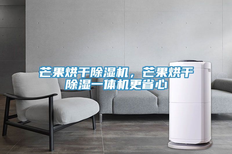 芒果烘干除濕機(jī)，芒果烘干除濕一體機(jī)更省心