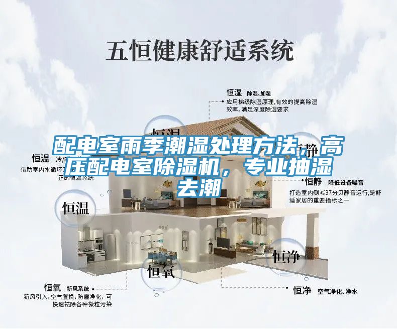 配電室雨季潮濕處理方法，高壓配電室除濕機(jī)，專業(yè)抽濕去潮