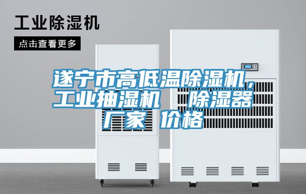 遂寧市高低溫除濕機，工業(yè)抽濕機  除濕器廠家 價格