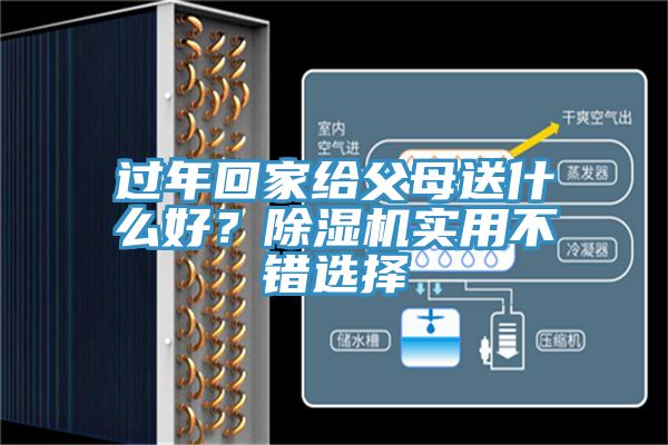 過年回家給父母送什么好？除濕機(jī)實(shí)用不錯(cuò)選擇