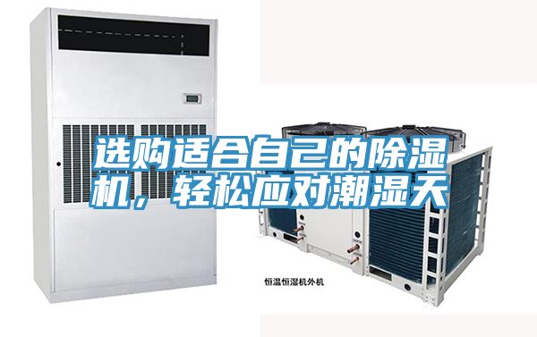 選購適合自己的除濕機，輕松應對潮濕天