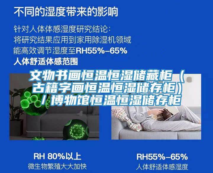 文物書(shū)畫(huà)恒溫恒濕儲(chǔ)藏柜（古籍字畫(huà)恒溫恒濕儲(chǔ)存柜）／博物館恒溫恒濕儲(chǔ)存柜