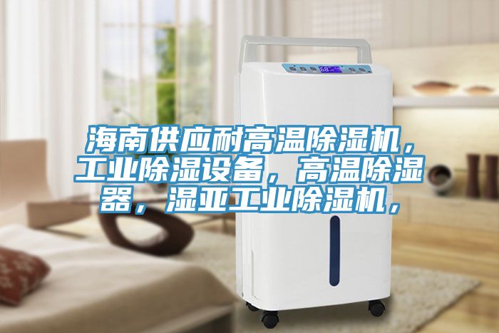 海南供應(yīng)耐高溫除濕機(jī)，工業(yè)除濕設(shè)備，高溫除濕器，濕亞工業(yè)除濕機(jī)，