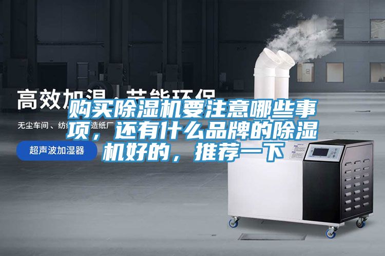 購買除濕機(jī)要注意哪些事項(xiàng)，還有什么品牌的除濕機(jī)好的，推薦一下