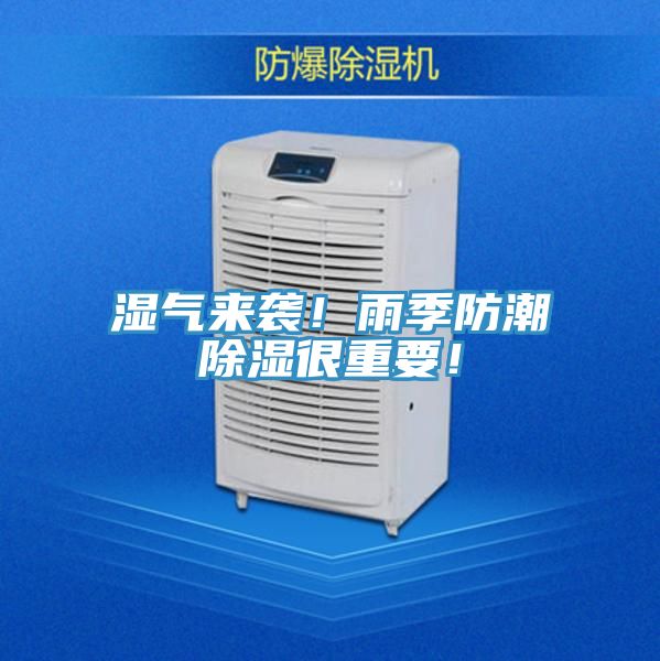 濕氣來(lái)襲！雨季防潮除濕很重要！