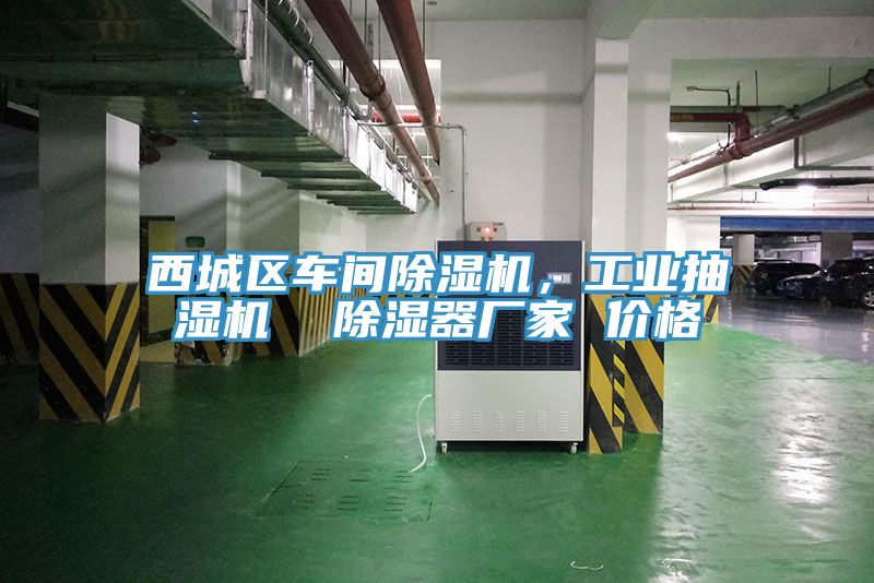 西城區(qū)車間除濕機(jī)，工業(yè)抽濕機(jī)  除濕器廠家 價(jià)格