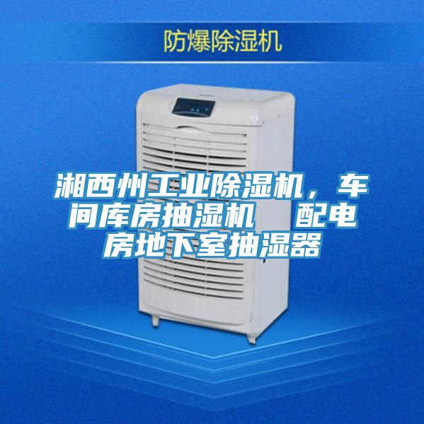 湘西州工業(yè)除濕機(jī)，車間庫房抽濕機(jī)  配電房地下室抽濕器